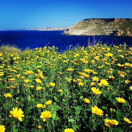 Nocleg ze śniadaniem Sunshine Court San Pawl il-Baħar