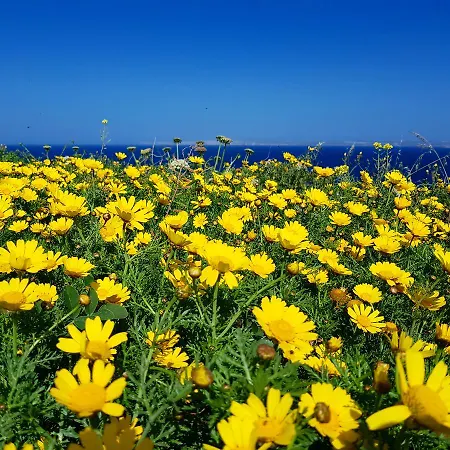 Sunshine Court セント・ポールズ・ベイ