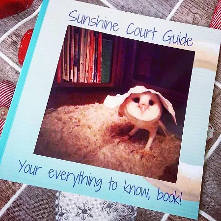 فندق مبيت وإفطار Sunshine Court
