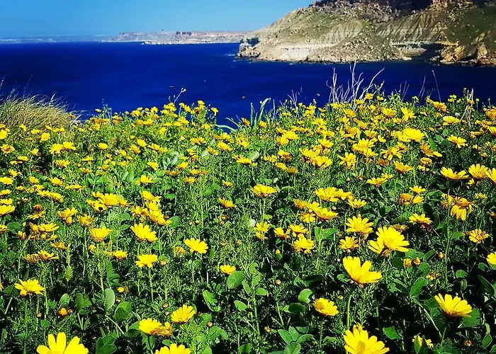 Nocleg ze śniadaniem Sunshine Court St Paul's Bay