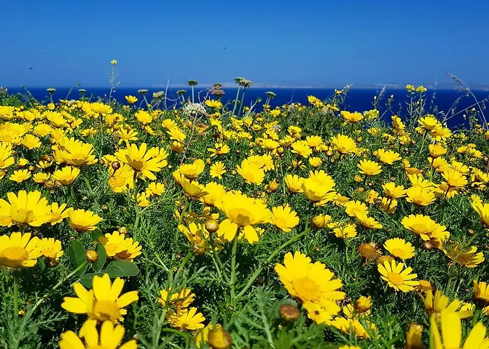 Sunshine Court St Paul's Bay